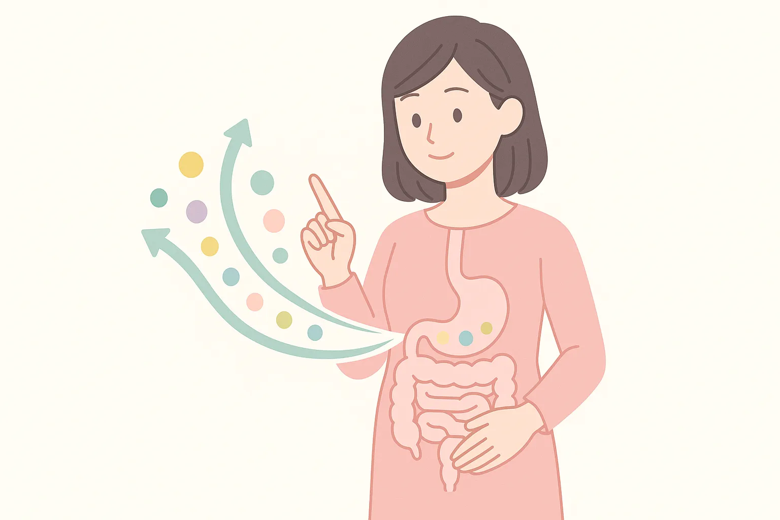 体の中で栄養素が吸収される様子のイラスト